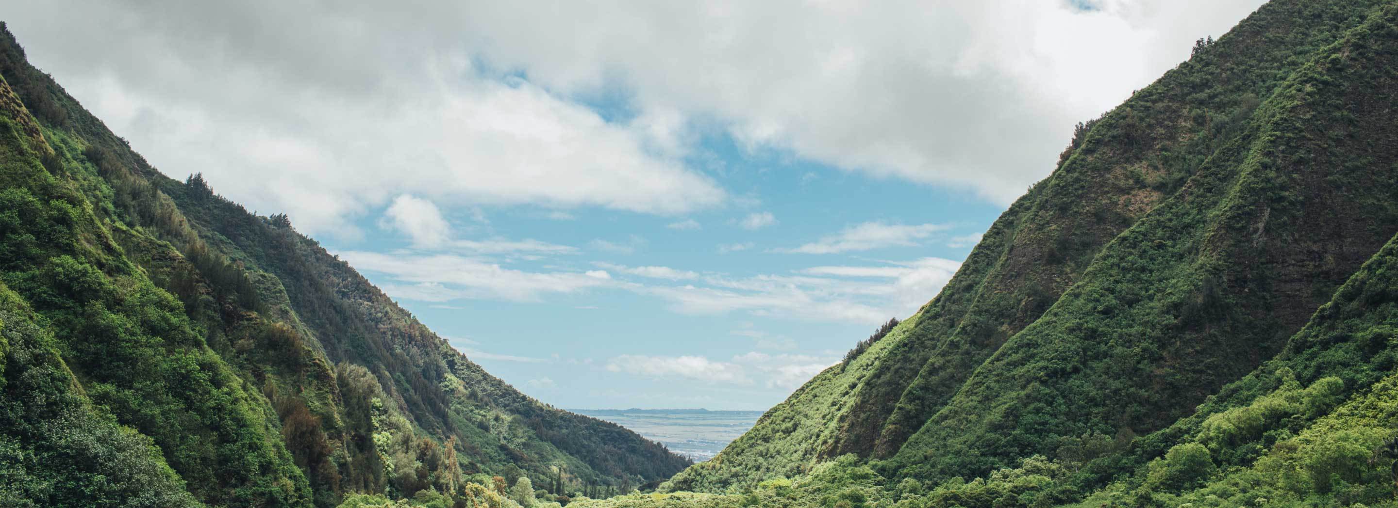 Olukai waimea clearance