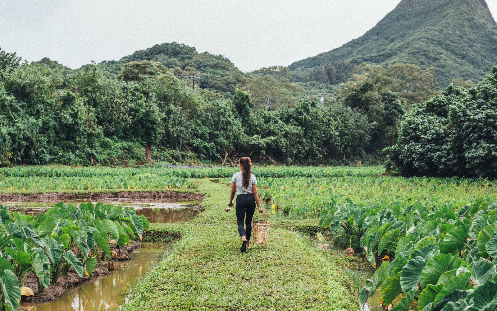 Olukai hualalai on sale