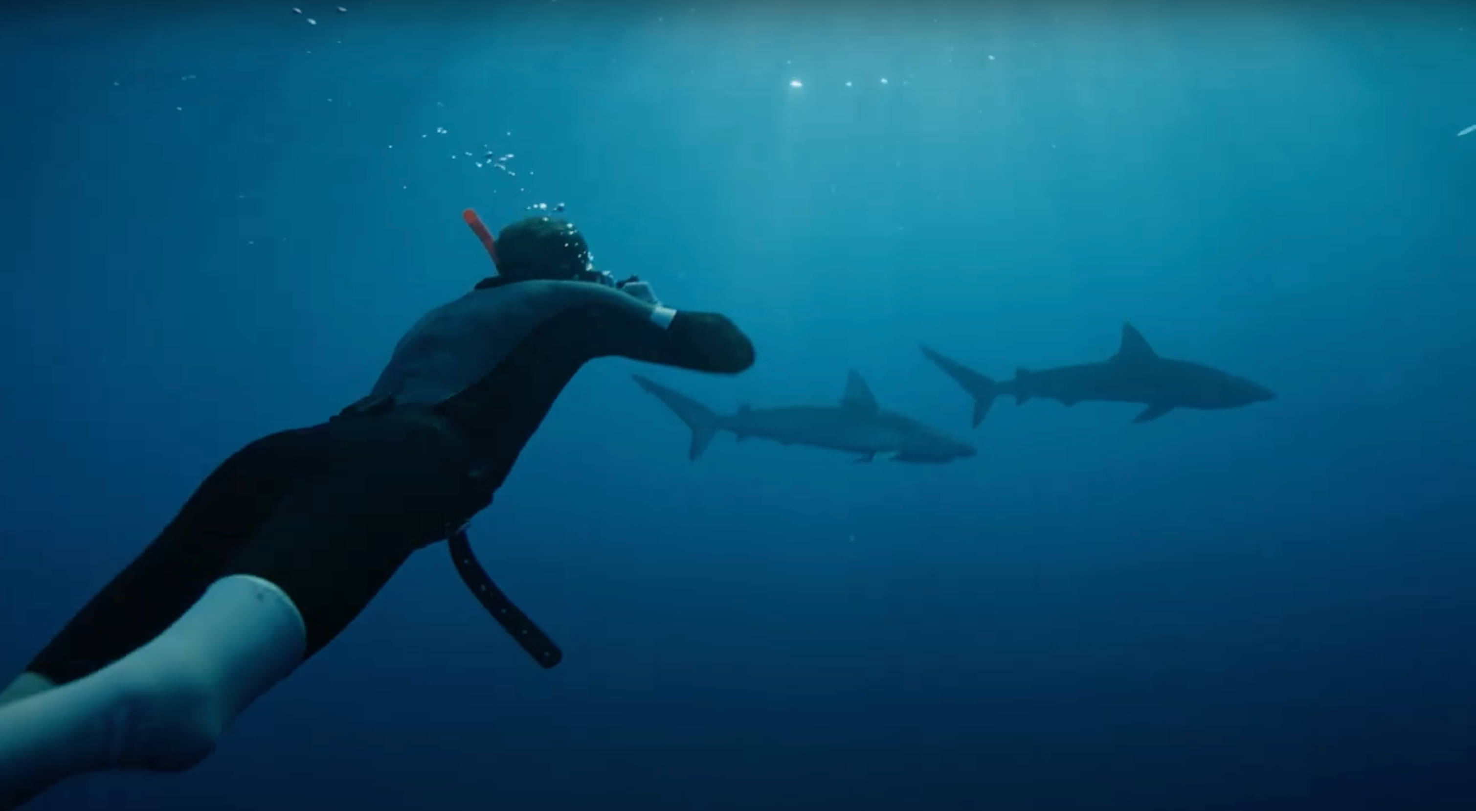 シューズ mako10 Shark Dive with Mike Coots | OluKai