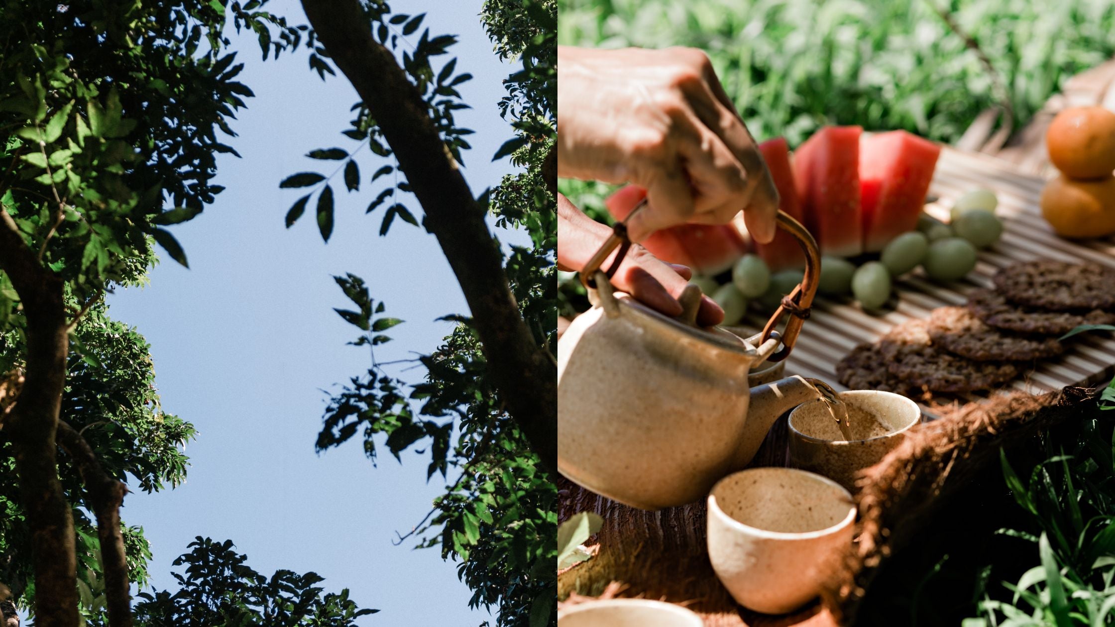 The Giving Trees | OluKai