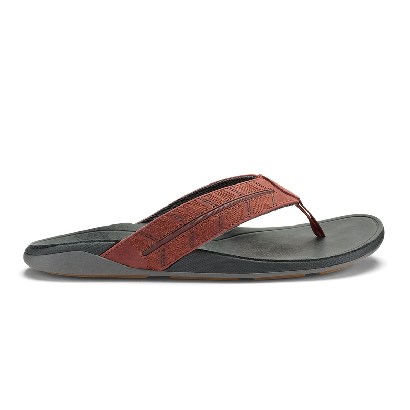 Tuahine Palm - Canoe / Rock | OluKai
