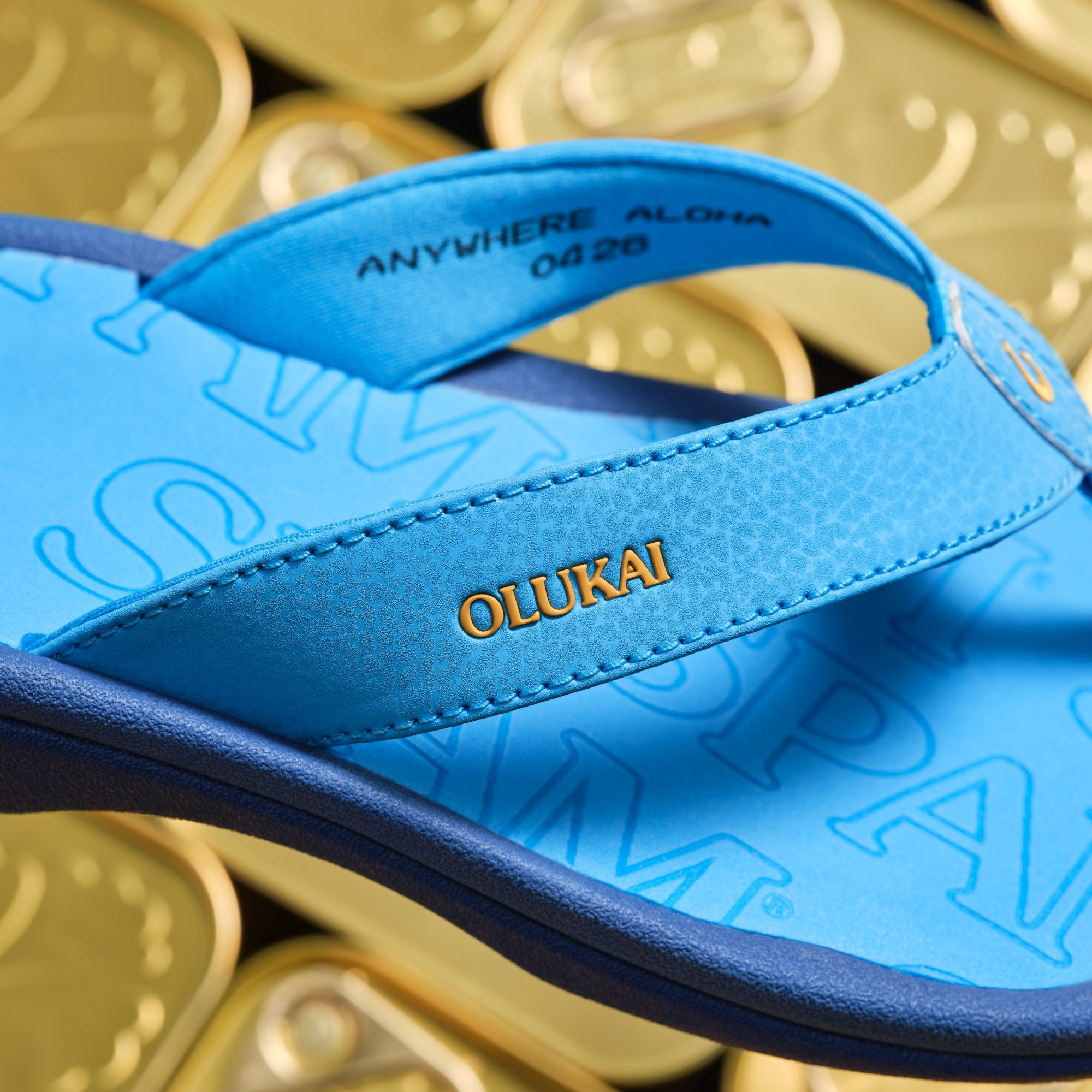 Ohana - Bold Blue / Bold Blue | OluKai