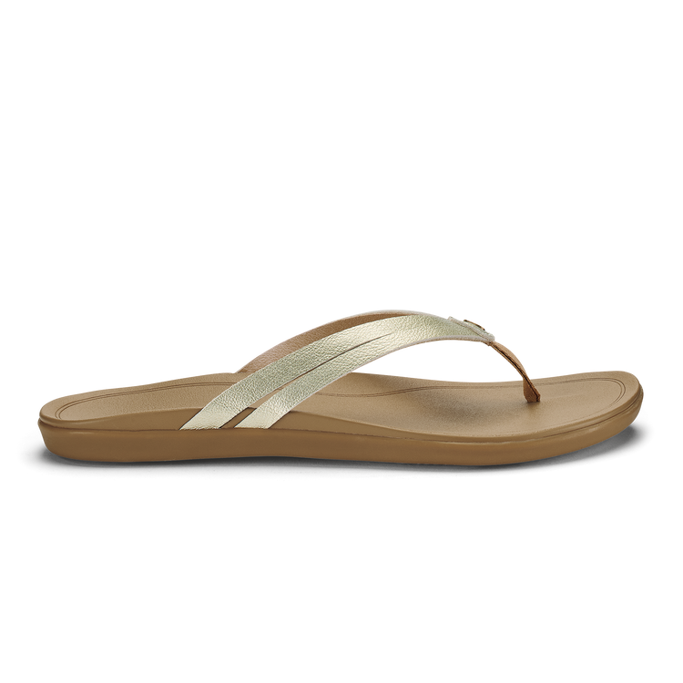 Papiko☆ Amazon.com: YIBEICO Foldable Passenger Foot Pegs for Super