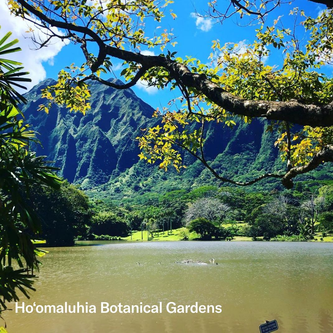 O‘ahu Island Guide – OluKai