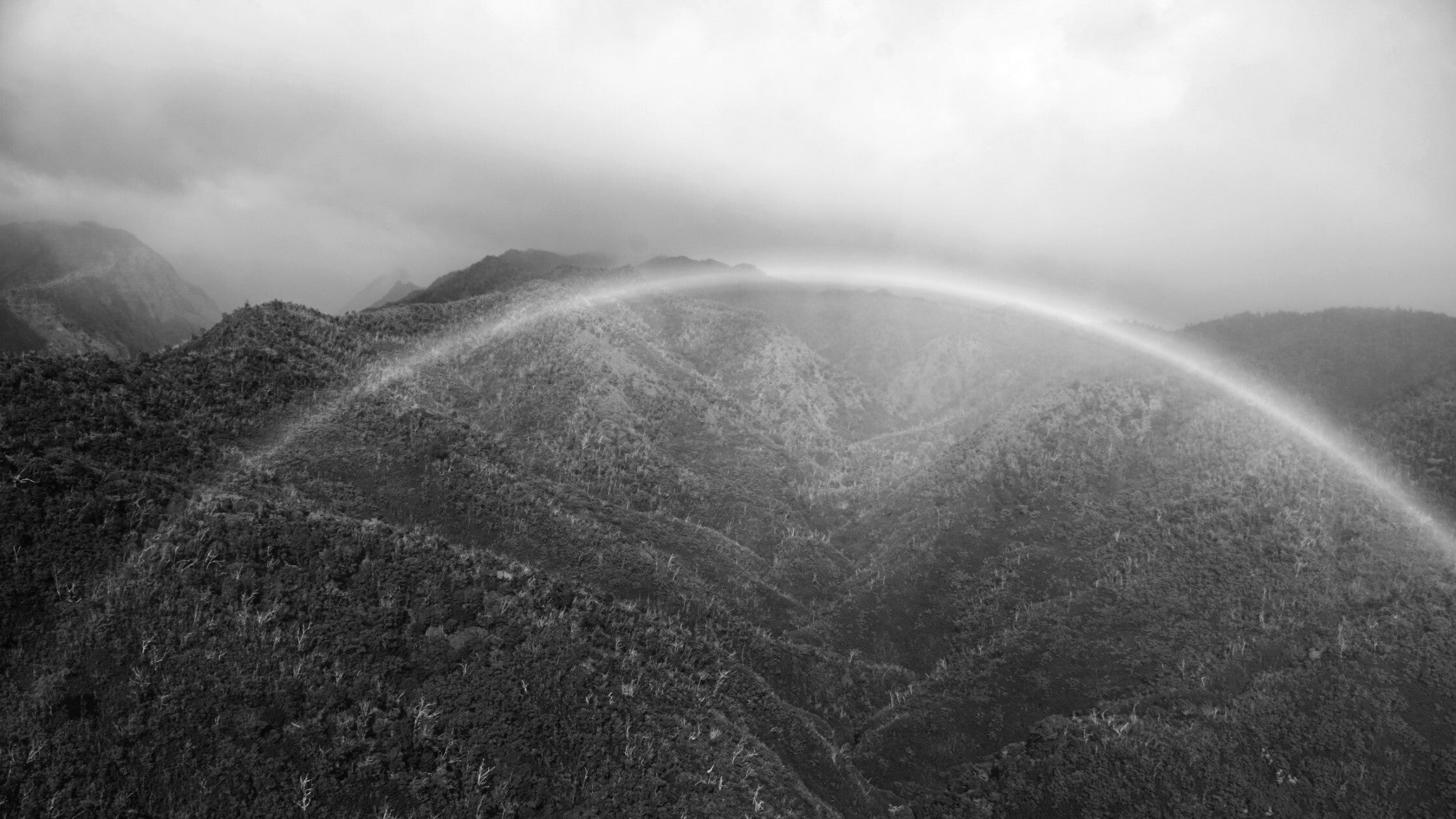 Rains Remembered – OluKai