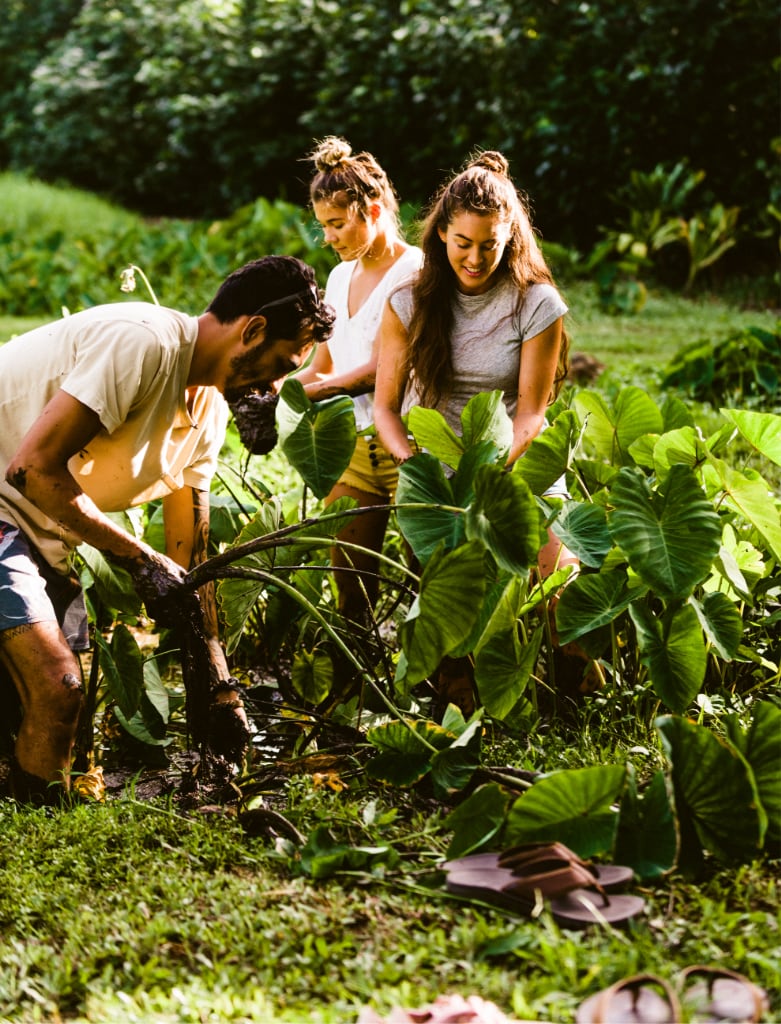 Group of young people helping clean up the forest.