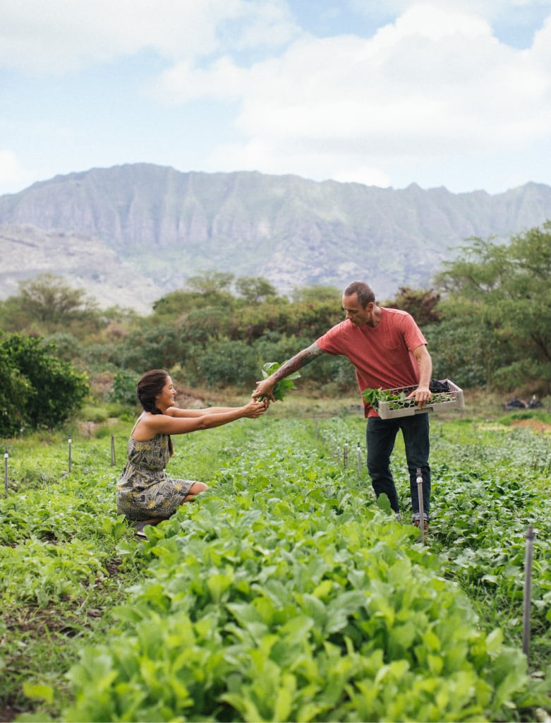 A man and woman farming in Hawaii with the mountains in background.