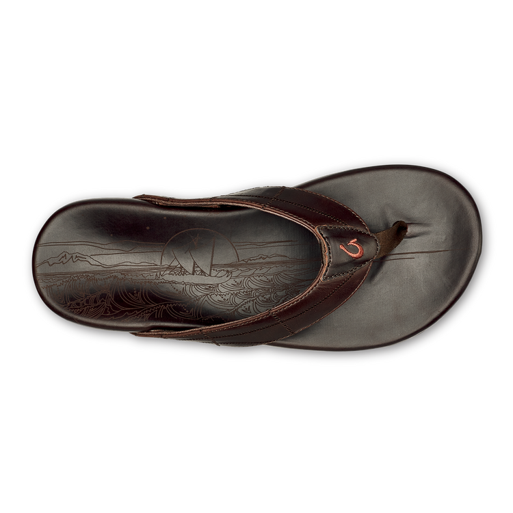 Hōkūle display picture 1